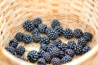 High angle view of fruits in basket on table