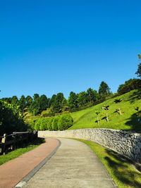 Road amidst trees against clear blue sky