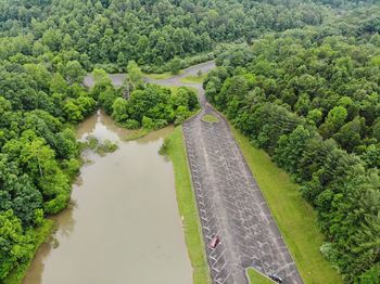 High angle view of river amidst trees in forest