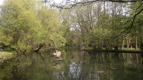 Scenic view of lake by trees against sky