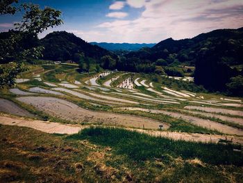 Scenic view of agricultural field against sky