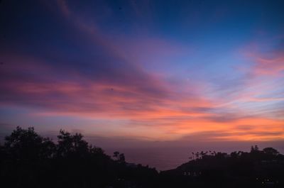 Silhouette trees against sky during sunset