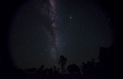 Low angle view of trees against sky at night