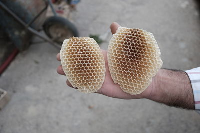 High angle view of cropped hand holding honeycomb outdoors