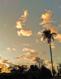 Low angle view of silhouette trees against sky during sunset