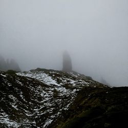 Scenic view of forest during foggy weather