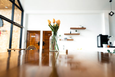 Potted plant on table at home