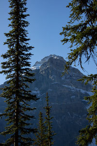 Valley of ten peaks near moraine lake on a sunny autumn day with snow on the mountain