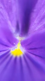 Extreme close up of flower