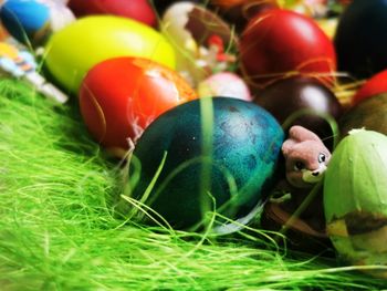 Close-up of colorful easter eggs in grass
