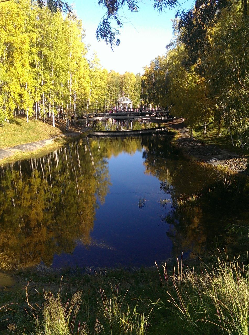 tree, water, reflection, bridge - man made structure, connection, tranquility, river, tranquil scene, built structure, nature, lake, arch bridge, growth, scenics, architecture, beauty in nature, pond, bridge, green color, branch