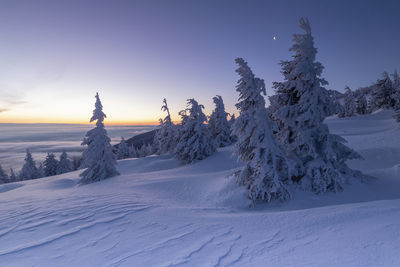 The beauty of winter on the snowy mountains at blue hour. vladeasa mountains - romania