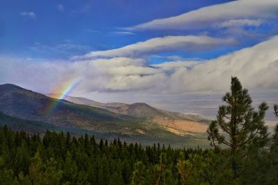 Scenic view of rainbow against sky