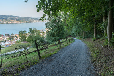 Empty road amidst trees against sky