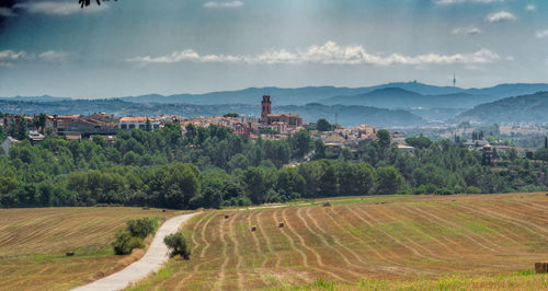 Scenic view of agricultural field against sky