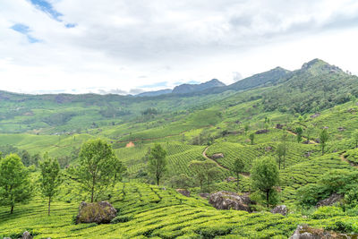 Scenic view of field against sky