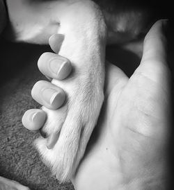 Close-up of man holding hand