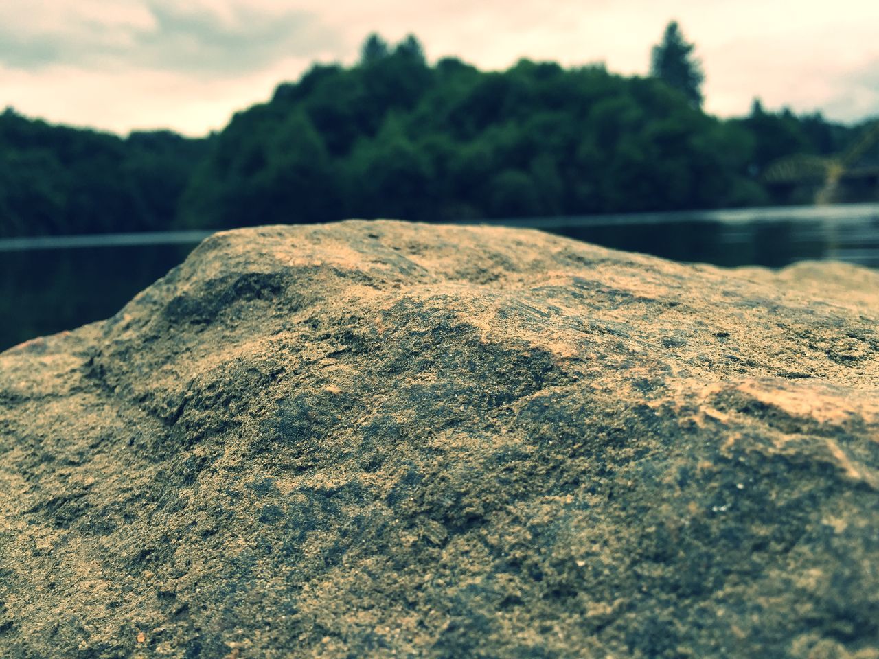 water, tranquility, tranquil scene, nature, tree, sky, scenics, focus on foreground, beauty in nature, lake, beach, river, rock - object, outdoors, close-up, day, sand, shore, no people, non-urban scene