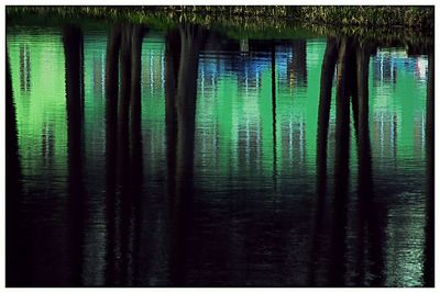 Reflection of trees in lake