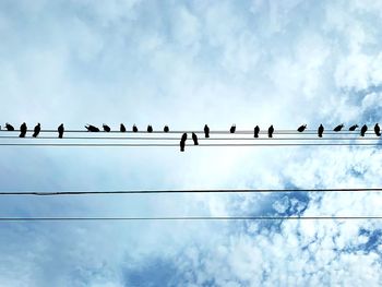 Low angle view of birds perching on cable against sky