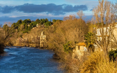 Scenic view of river amidst trees against sky