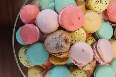 Close-up of multi colored cookies