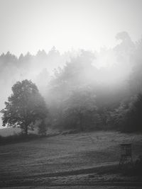 Trees on field against sky