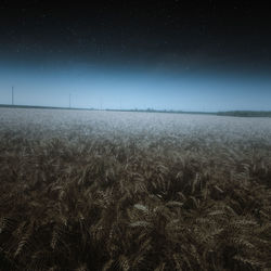 Scenic view of field against sky at night