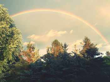 Low angle view of rainbow against sky