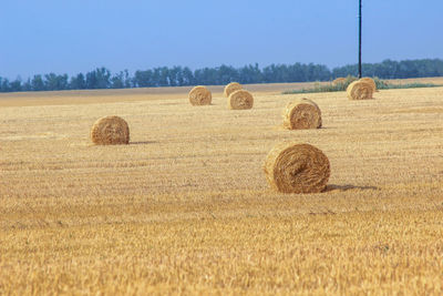 Hay bales on field against sky