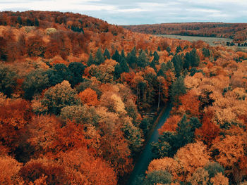 High angle view of trees and road during autumn