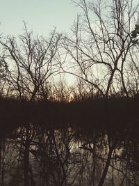 Silhouette bare trees by lake against sky