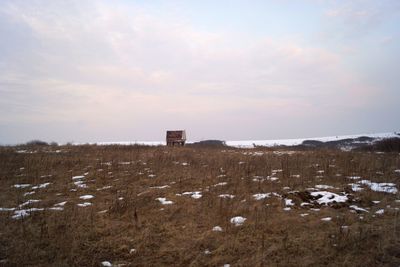 Scenic view of field against sky during winter