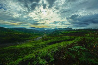 Scenic view of landscape against sky