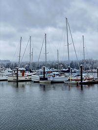Sailboats moored at harbor against sky