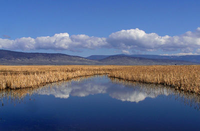 Scenic view of lake against sky