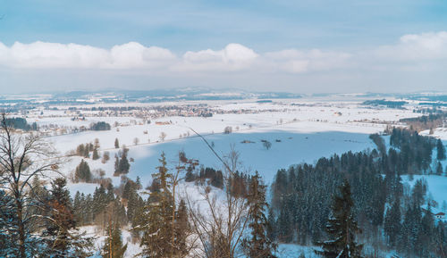 Panoramic shot of trees on snow covered landscape