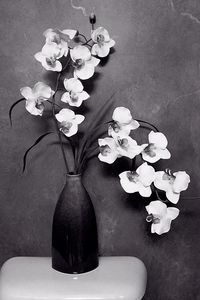 Close-up of flowers in vase