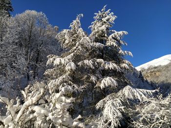 Low angle view of snowcapped mountain against blue sky