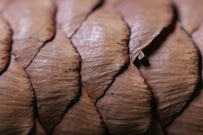 Full frame shot of dried leaves