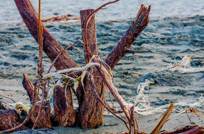 Close-up of rusty chain on beach