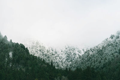 Scenic view of forest against sky during winter