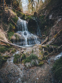 Scenic view of waterfall in forest