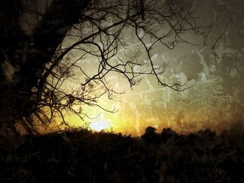 Bare trees against sky at sunset