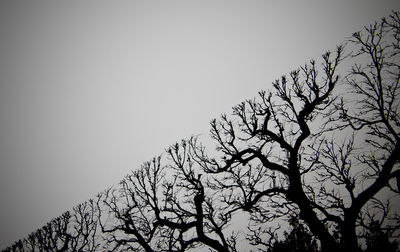 Low angle view of silhouette tree against clear sky