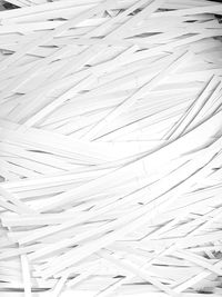 Full frame shot of pattern