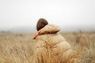 Unrecognizable female hands in autumn grass