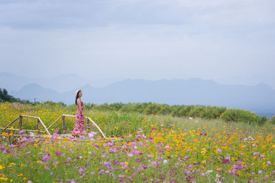 Scenic view of flowering plants on field against sky