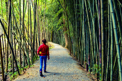 Rear view of woman walking in forest