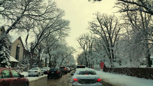 Car on road